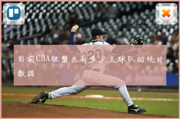 目前CBA联盟共有多少支球队的统计数据