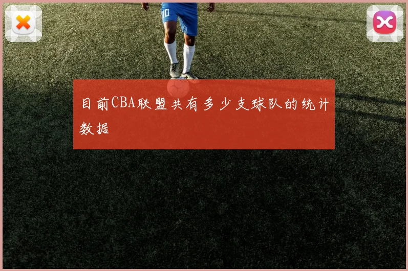 目前CBA联盟共有多少支球队的统计数据
